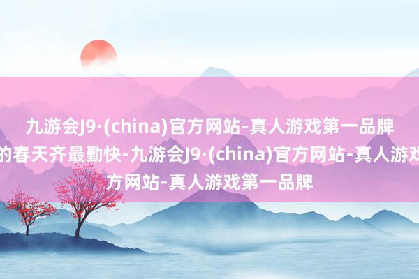 九游会J9·(china)官方网站-真人游戏第一品牌	每一年的春天齐最勤快-九游会J9·(china