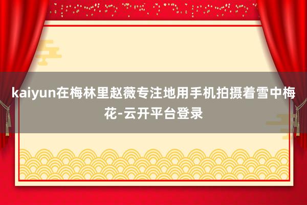 kaiyun在梅林里赵薇专注地用手机拍摄着雪中梅花-云开平台登录