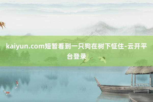 kaiyun.com短暂看到一只狗在树下怔住-云开平台登录