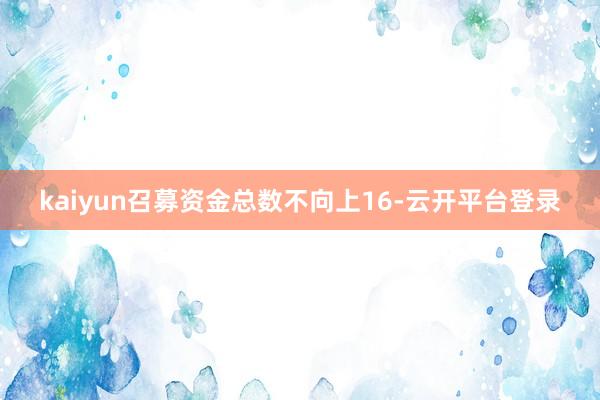kaiyun召募资金总数不向上16-云开平台登录