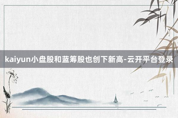 kaiyun小盘股和蓝筹股也创下新高-云开平台登录
